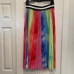 Le Superbe Colorful Pleated Women's Skirt